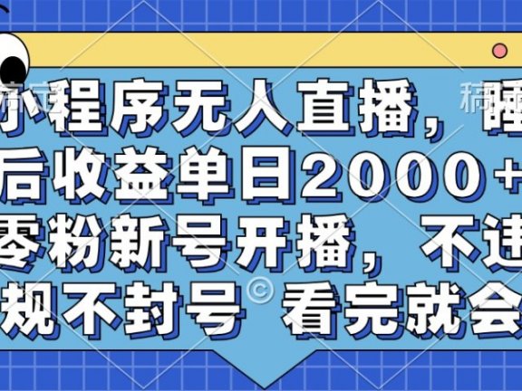 小程序无人直播,睡后收益单日2000+ 零粉新号开播,不违规不封号 看完就会