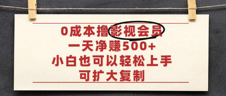 亲测,0成本可批量操作,靠卖影视会员实测月入30000+